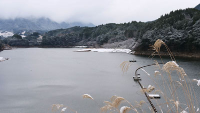 フォレストアドベンチャー